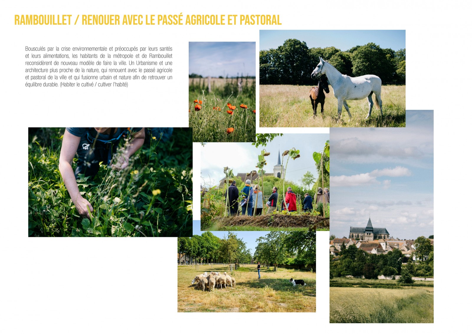 Guerrilla_studiuos-Agroquartier_Rambouillet_01