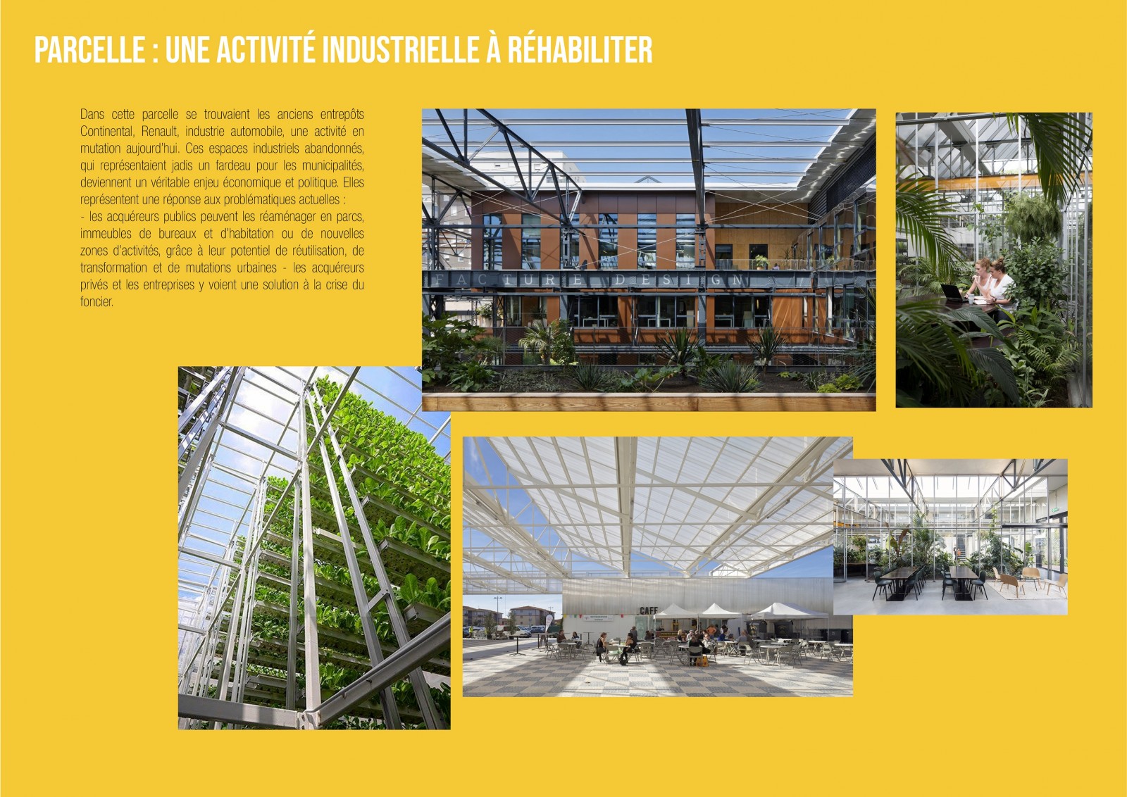 Guerrilla_studiuos-Agroquartier_Rambouillet_03